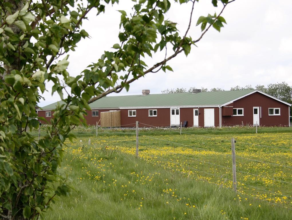 Kaldbakur Guesthouse Heimaland Exteriör bild