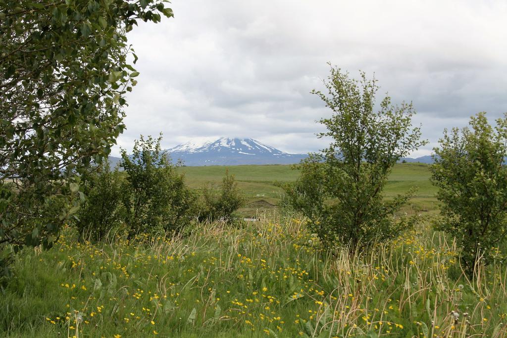 Kaldbakur Guesthouse Heimaland Exteriör bild